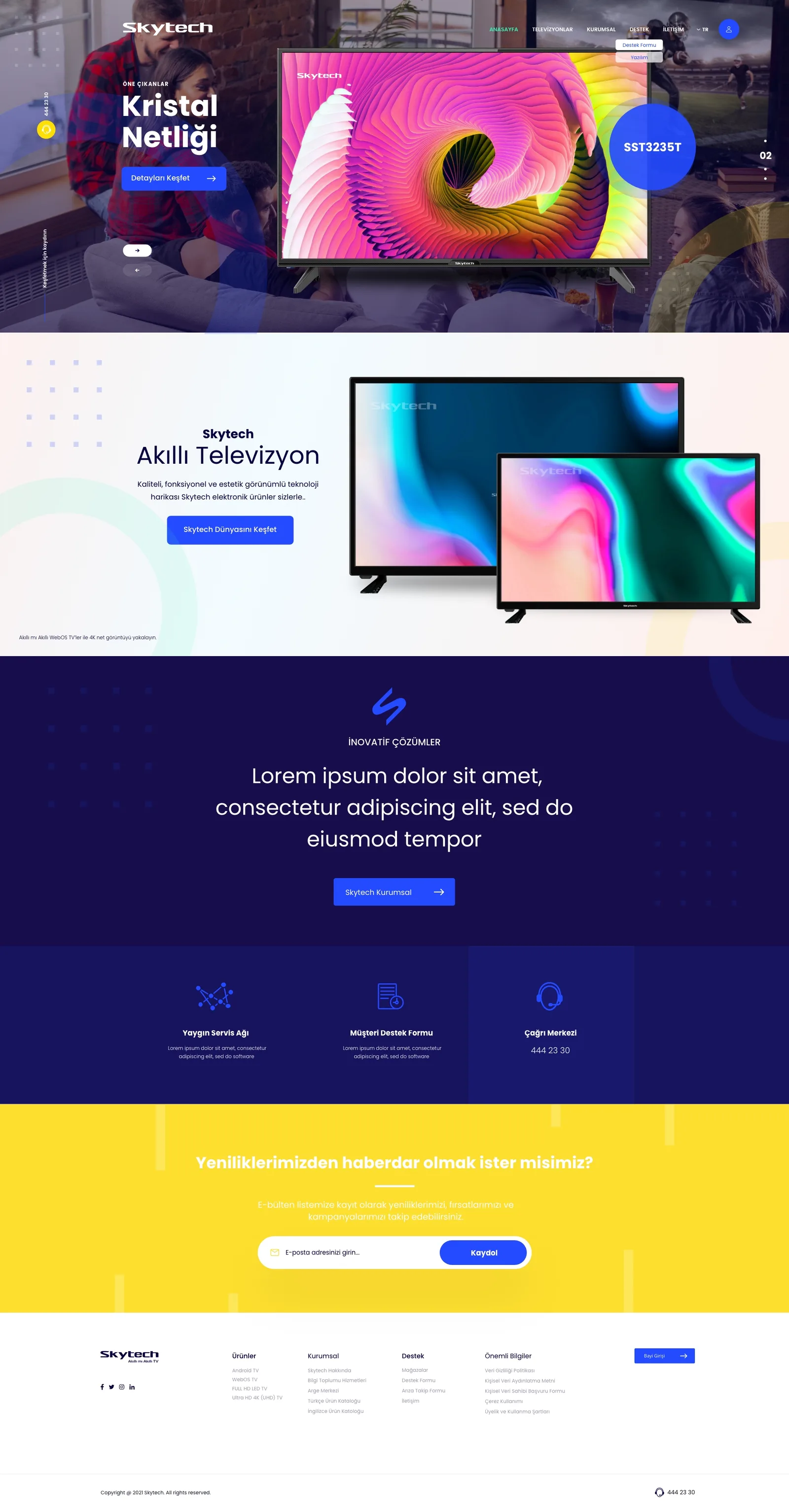 Skytech Web design 1
