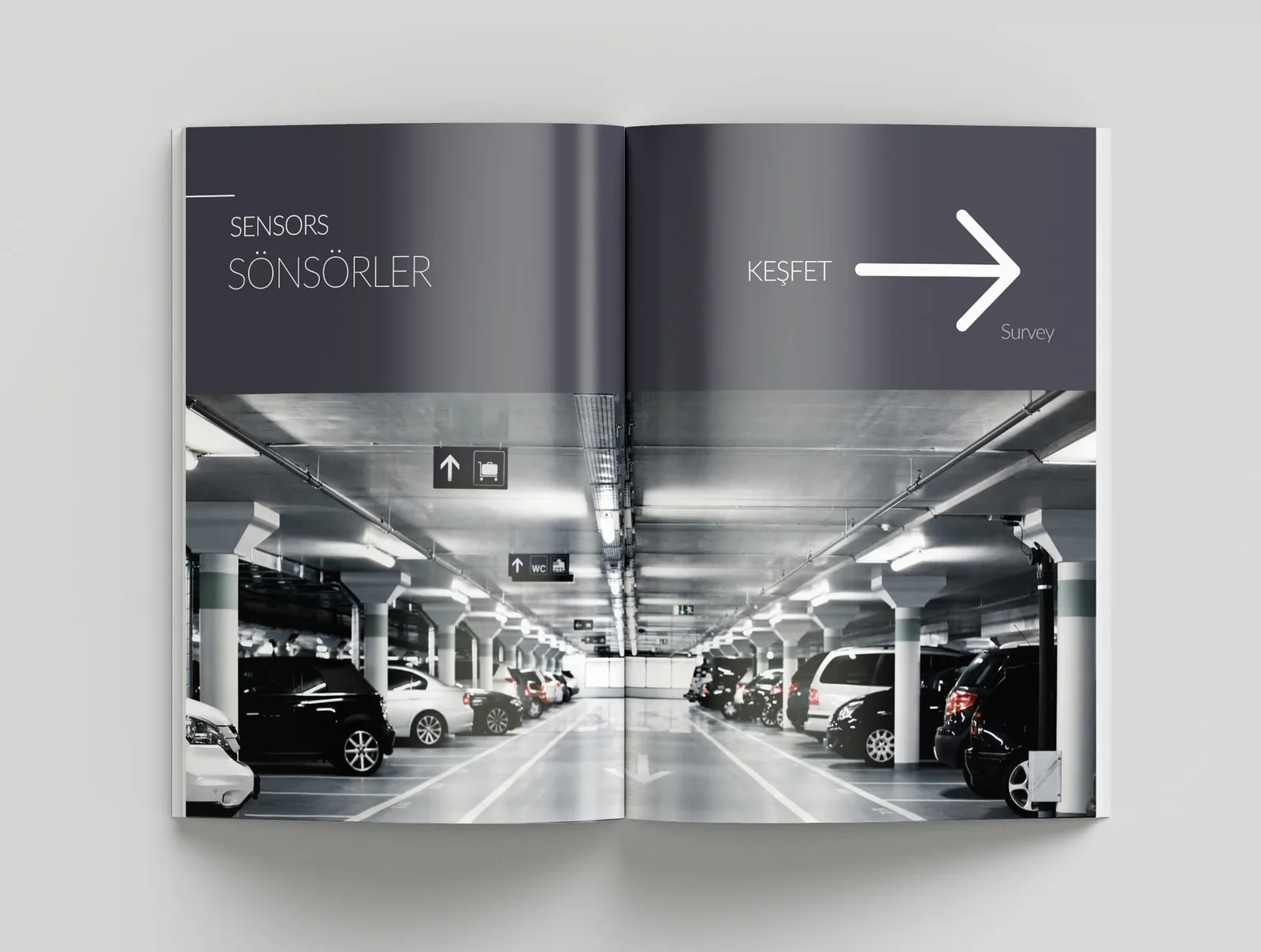 Pedaş Katalog — tasarım 7
