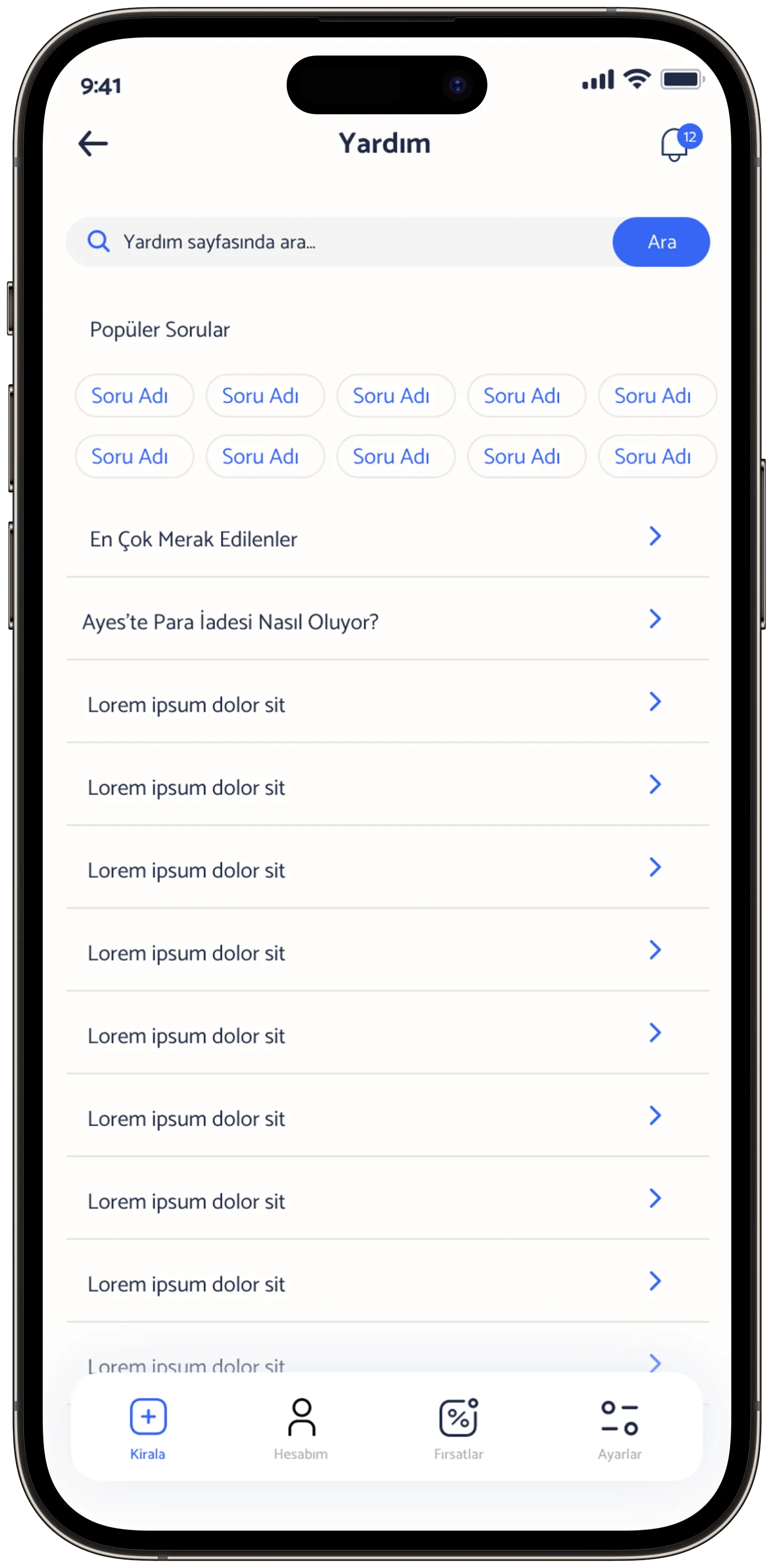 Ayes Rent A Car — tasarım 39