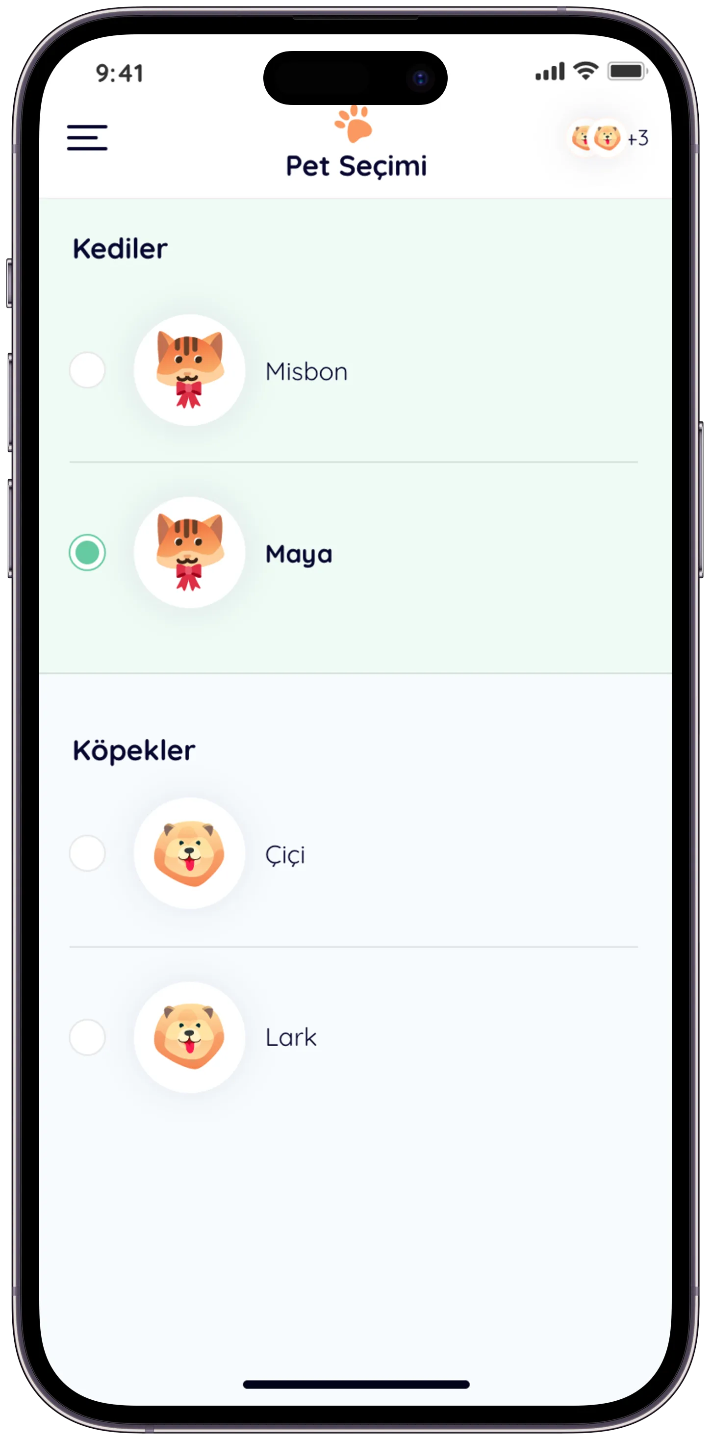 Pawla Pet App — tasarım 37