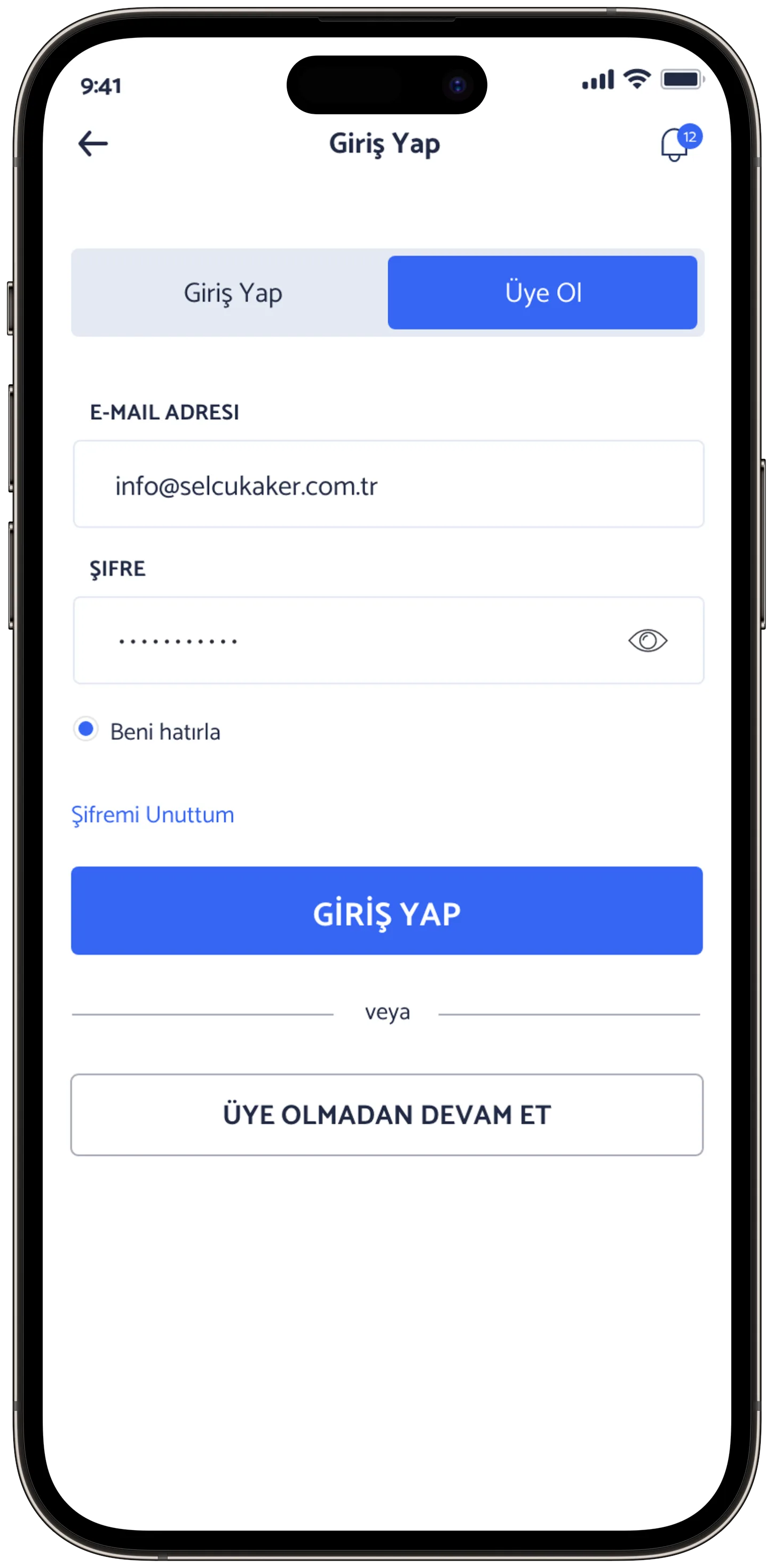 Ayes Rent A Car — tasarım 17