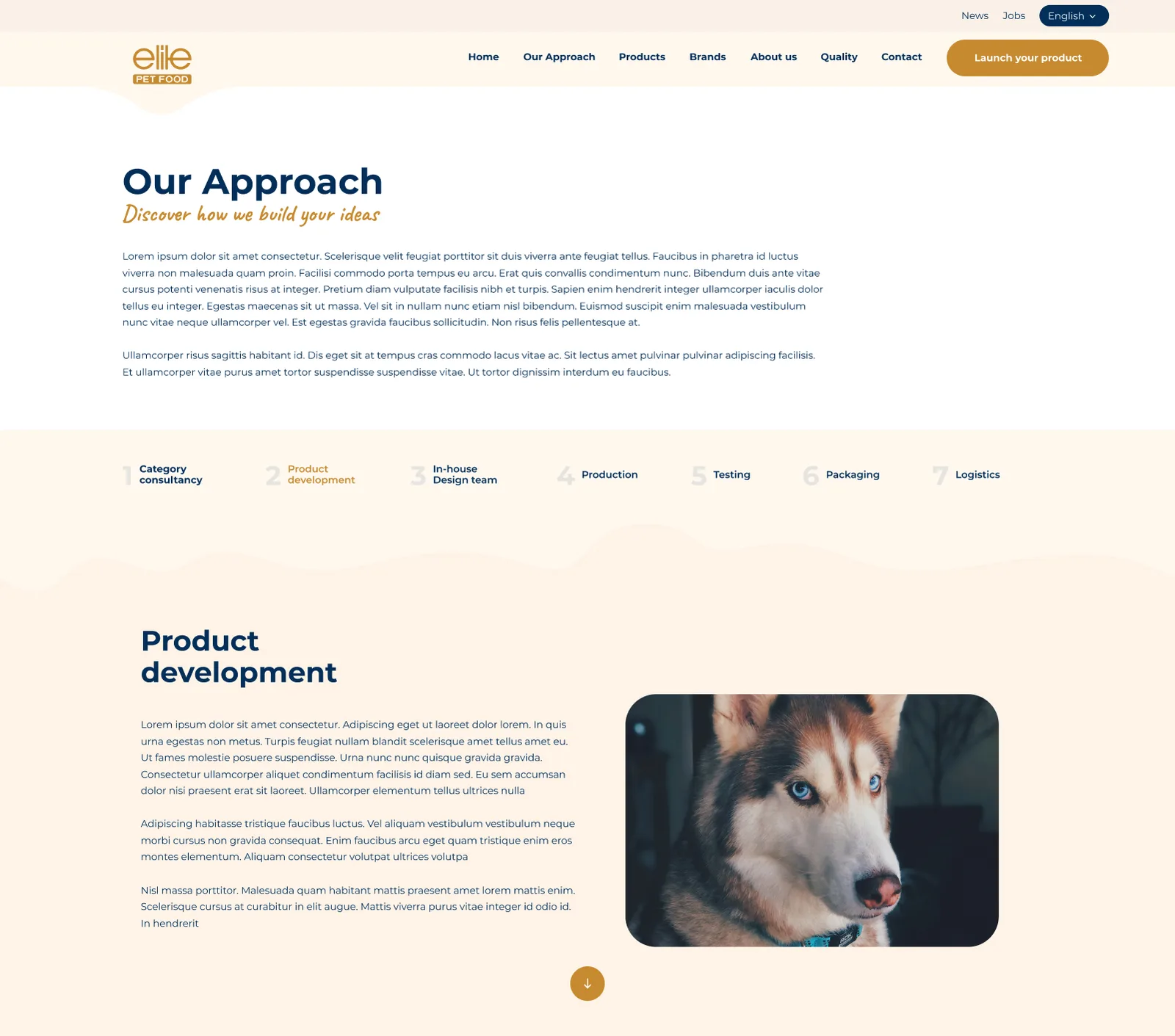 Pet Foods Corporate Website — tasarım 9