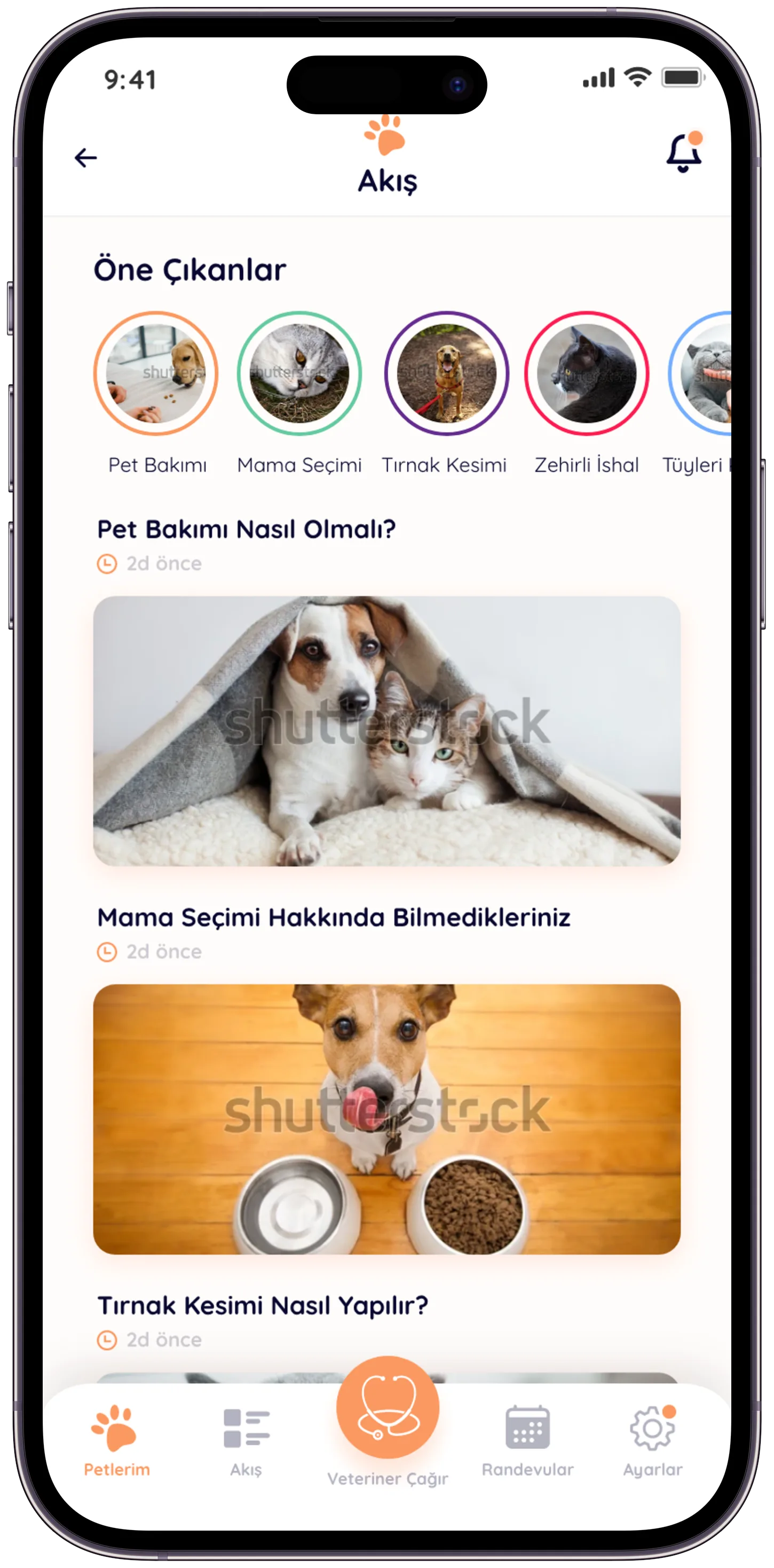Pawla Pet App — tasarım 7