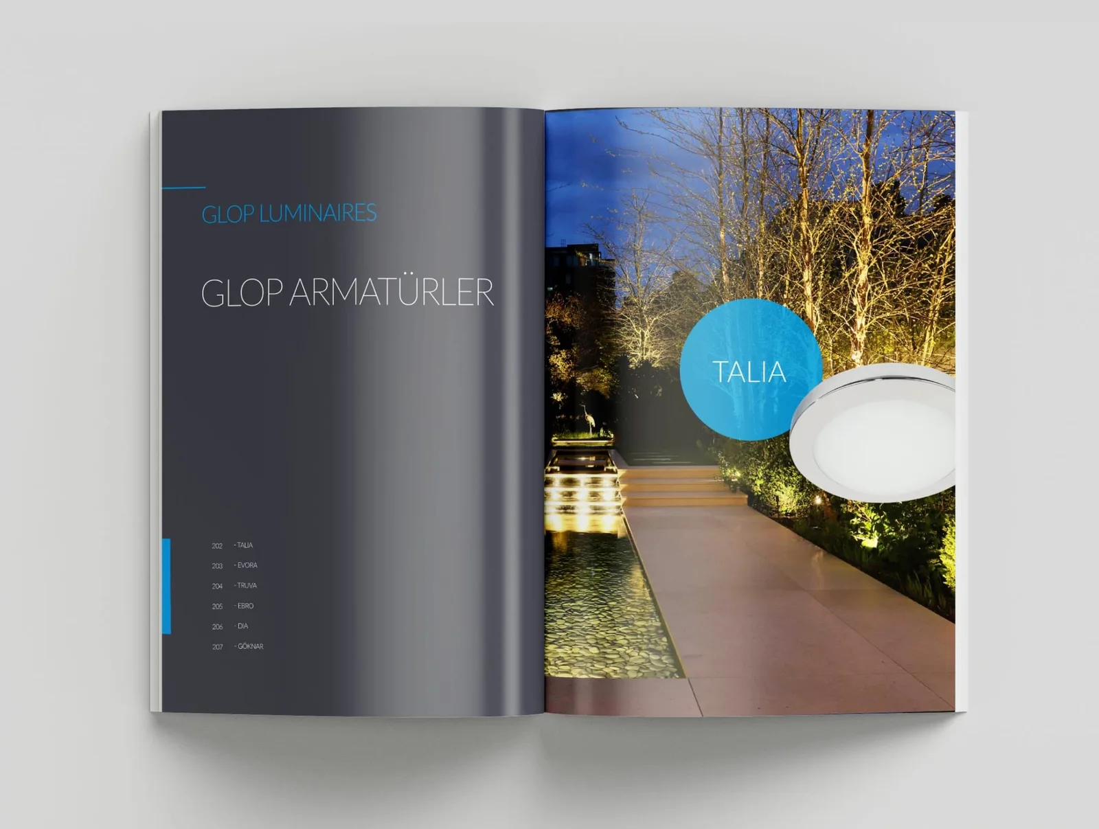 Pedaş Katalog — tasarım 8
