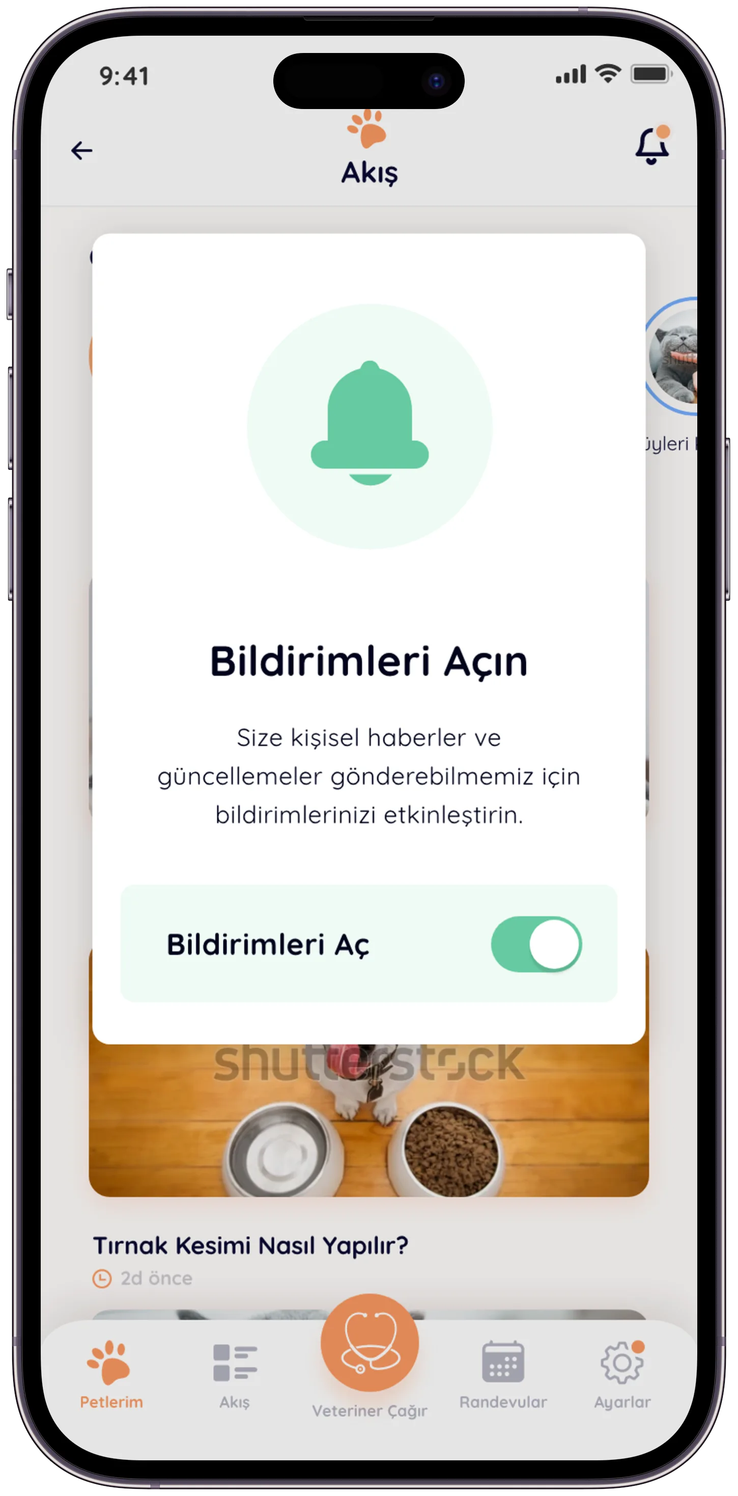 Pawla Pet App — tasarım 15