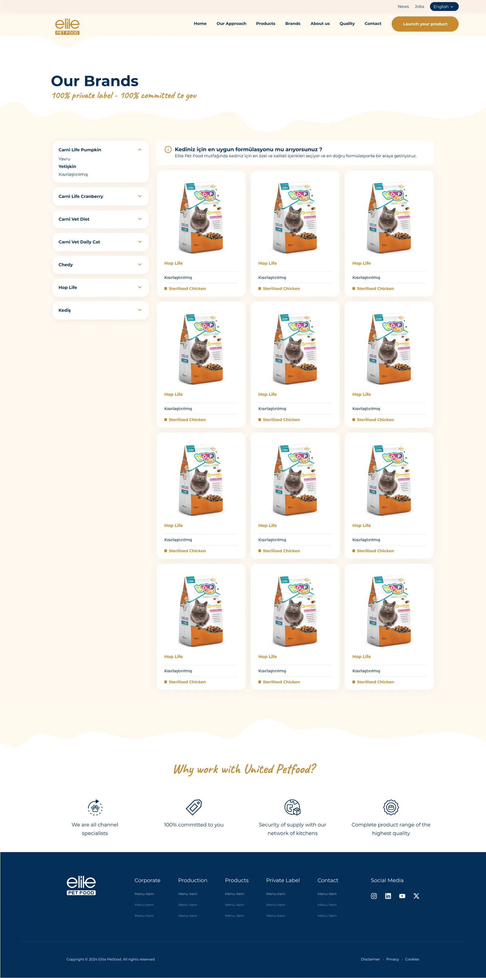 Pet Foods Corporate Website — tasarım 17