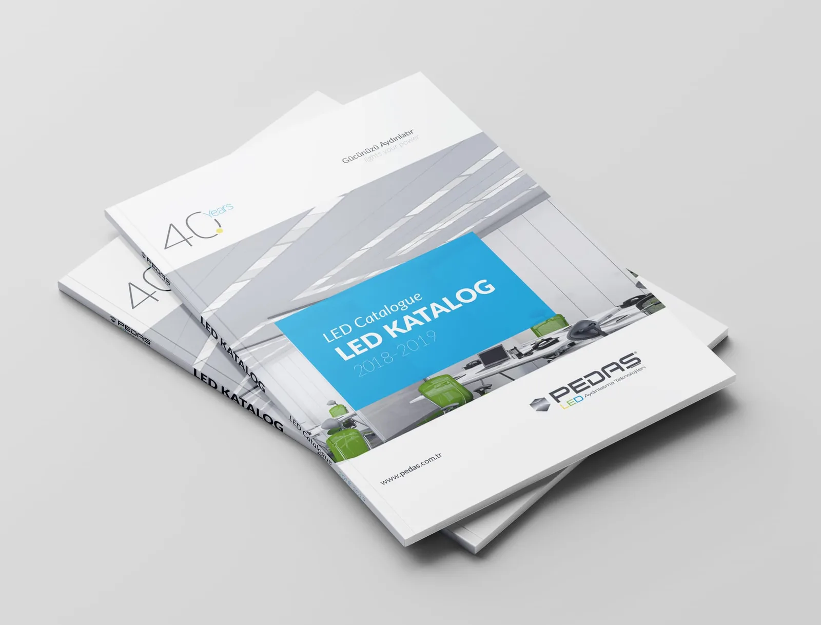 Pedaş Katalog — tasarım 3