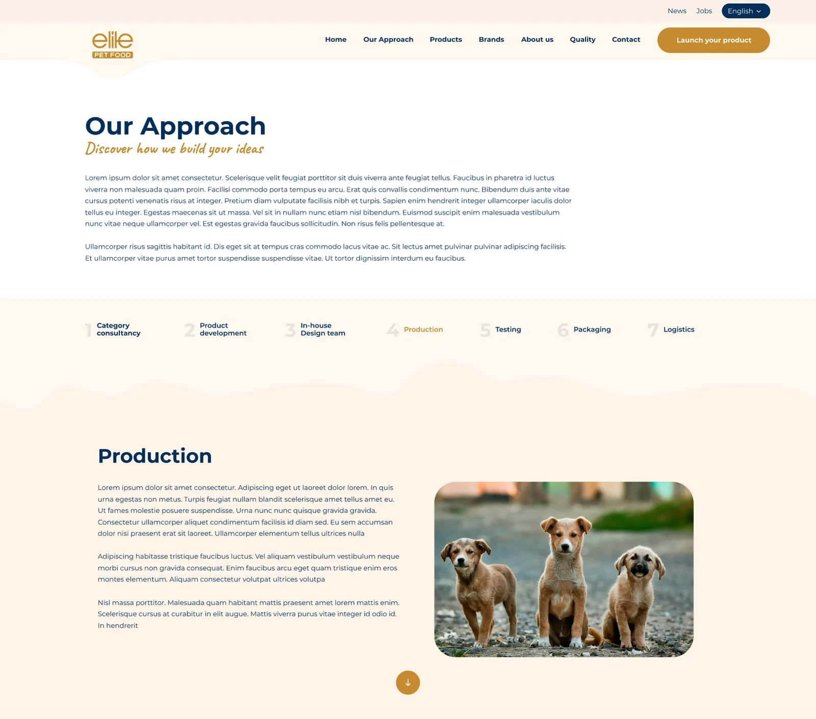 Pet Foods Corporate Website — tasarım 11