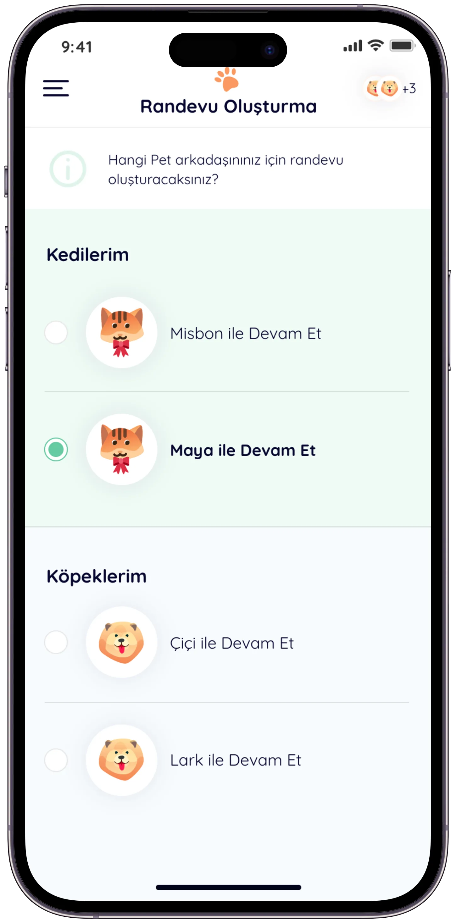 Pawla Pet App — tasarım 46