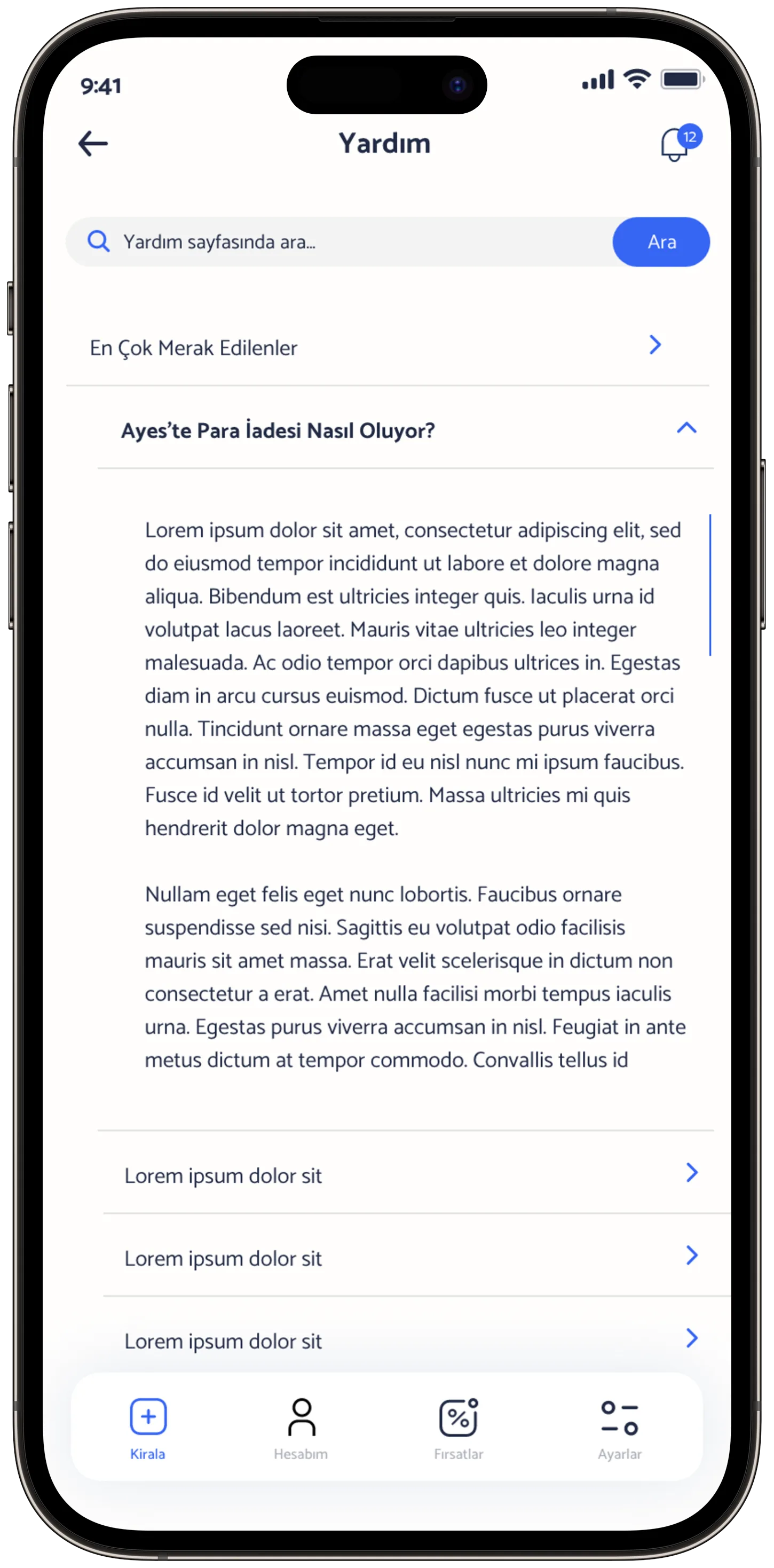 Ayes Rent A Car — tasarım 40