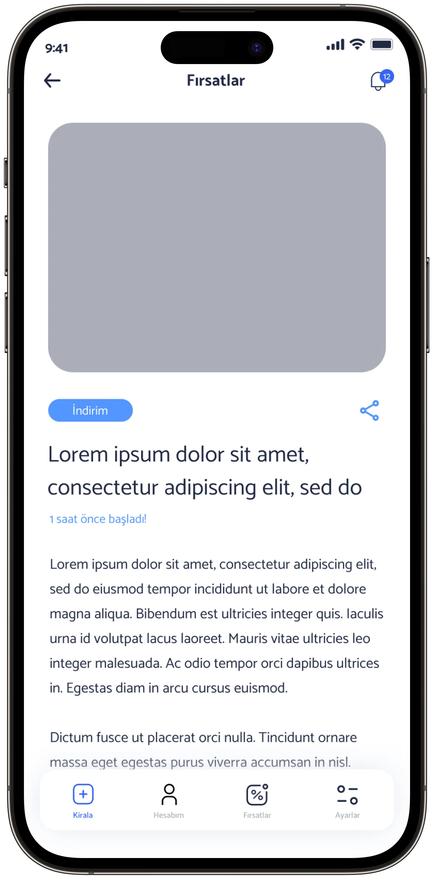 Ayes Rent A Car — tasarım 24