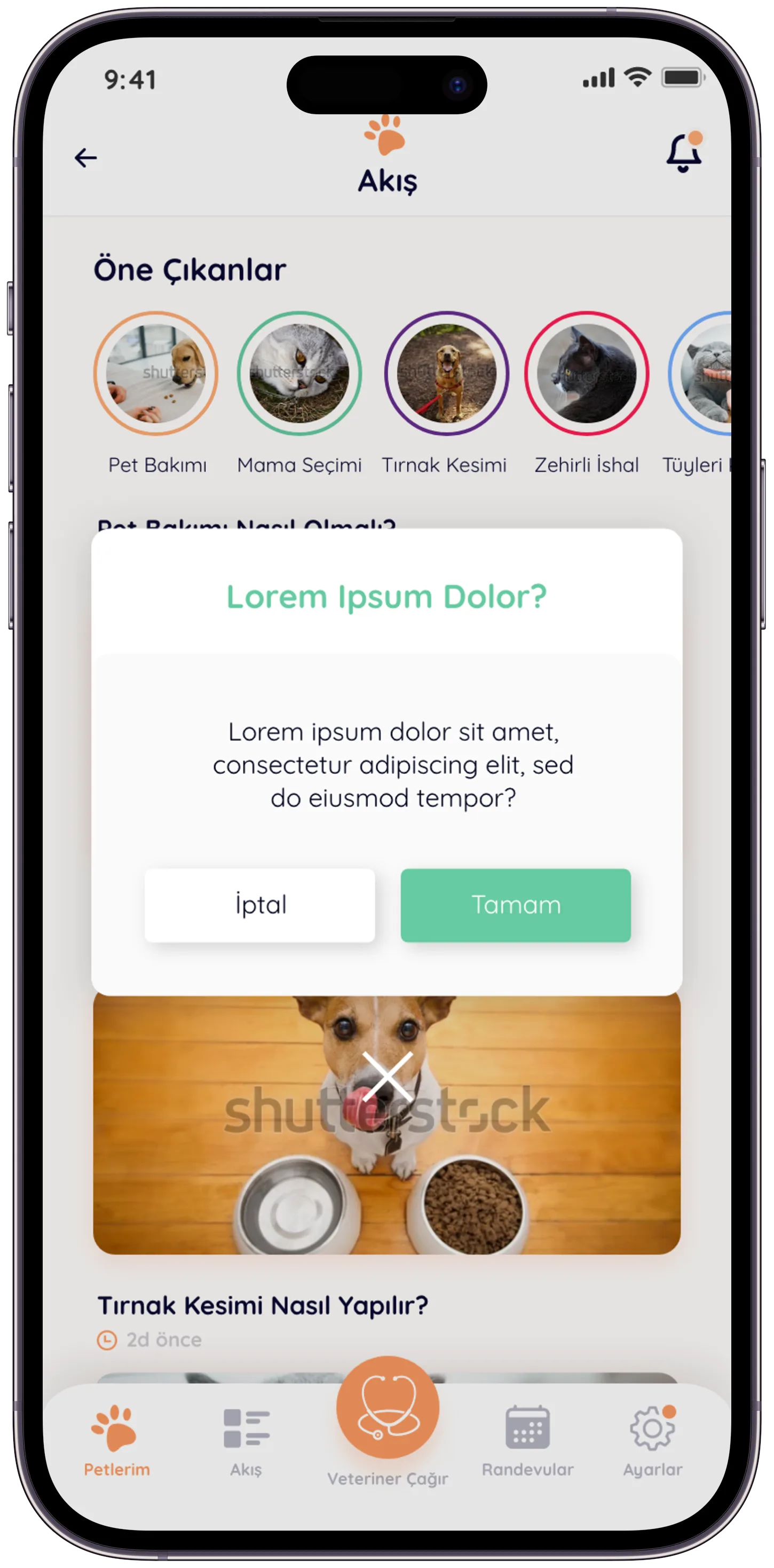 Pawla Pet App — tasarım 16