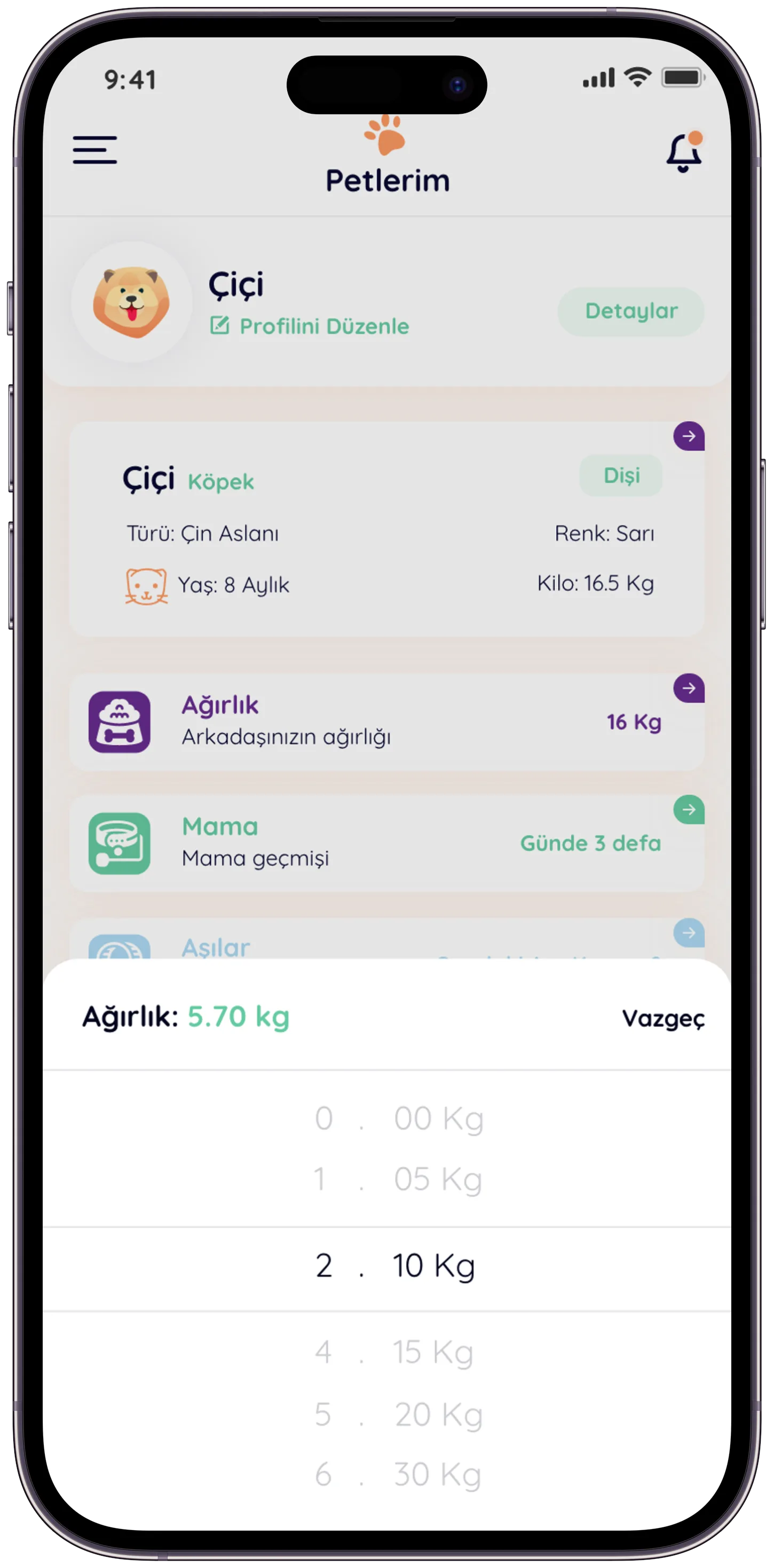 Pawla Pet App — tasarım 8
