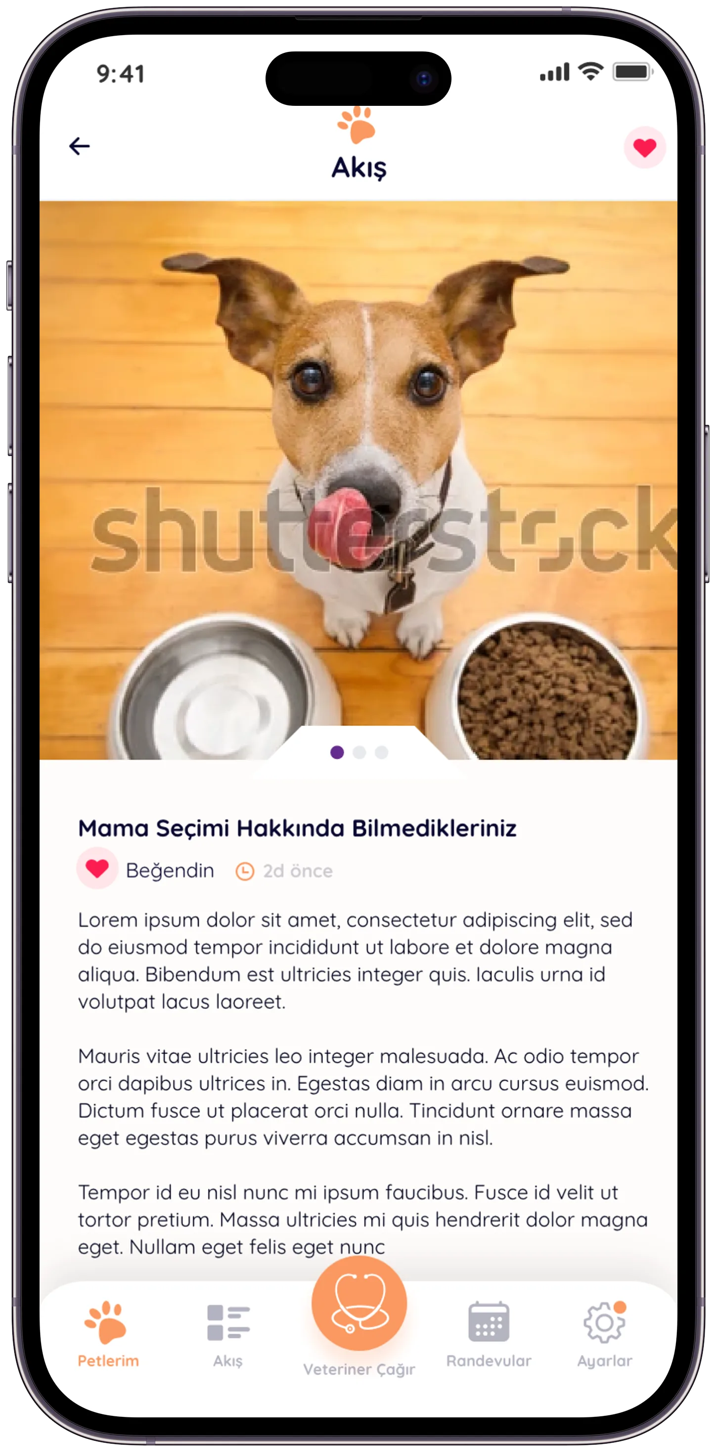 Pawla Pet App — tasarım 6
