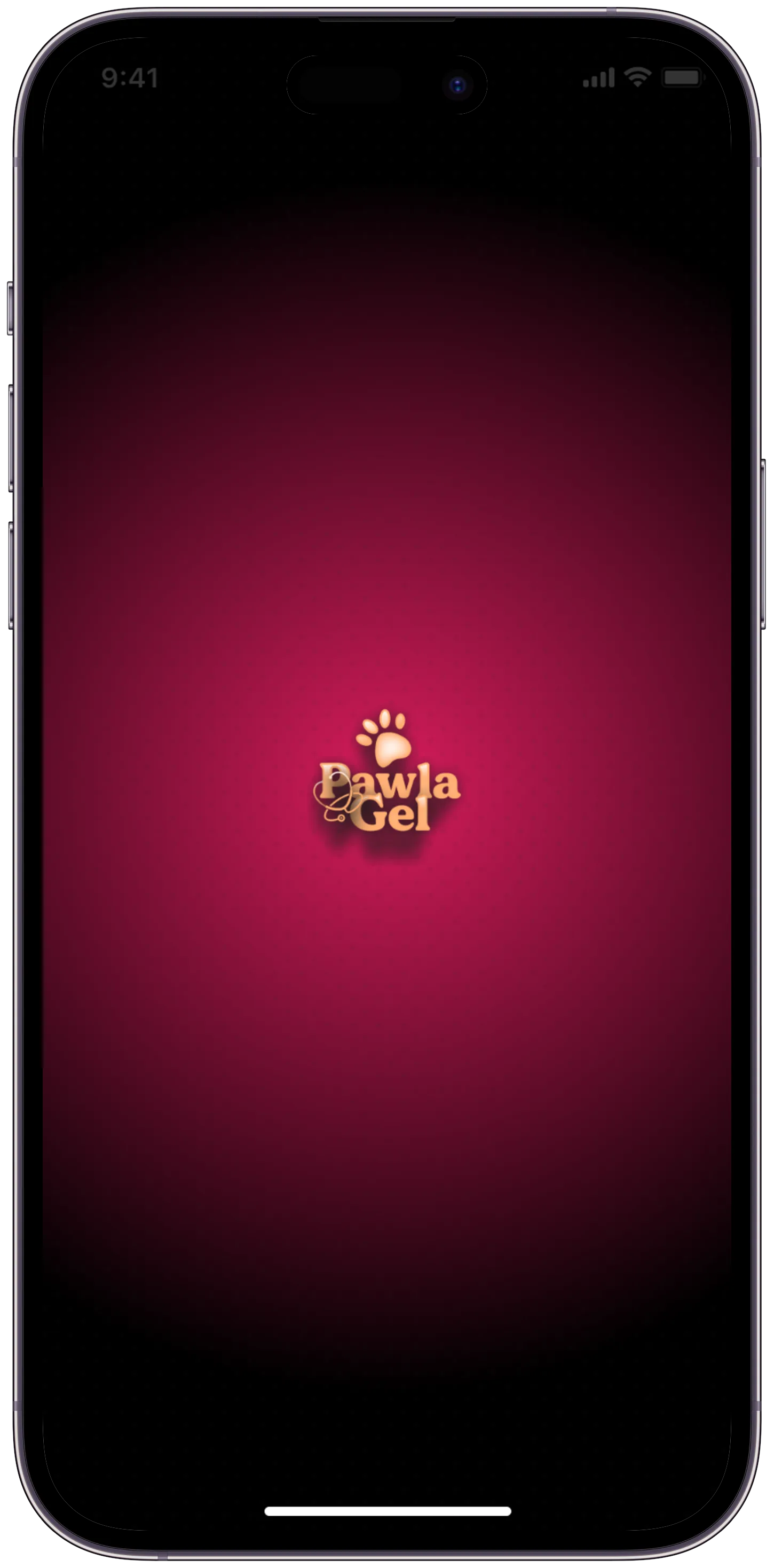 Pawla Pet App — tasarım 1