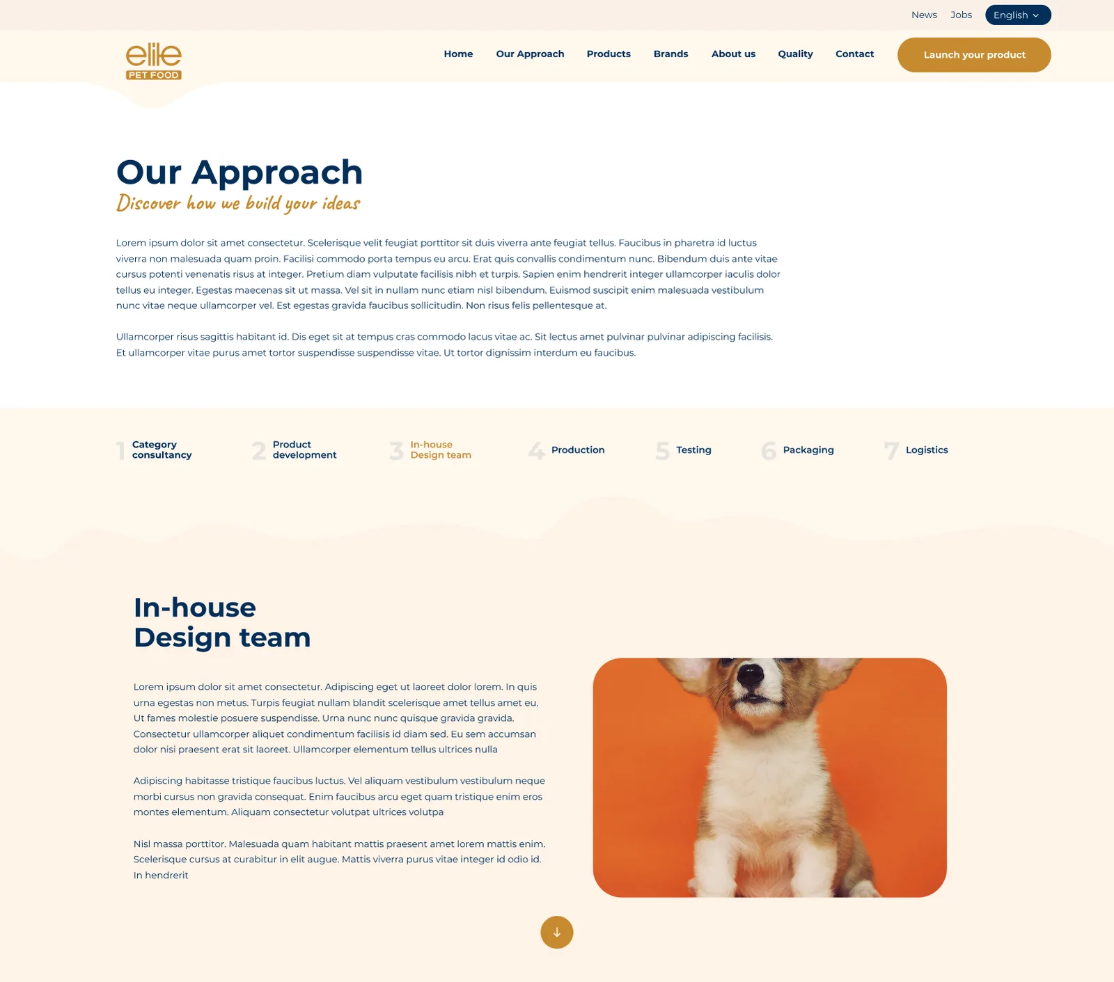 Pet Foods Corporate Website — tasarım 10