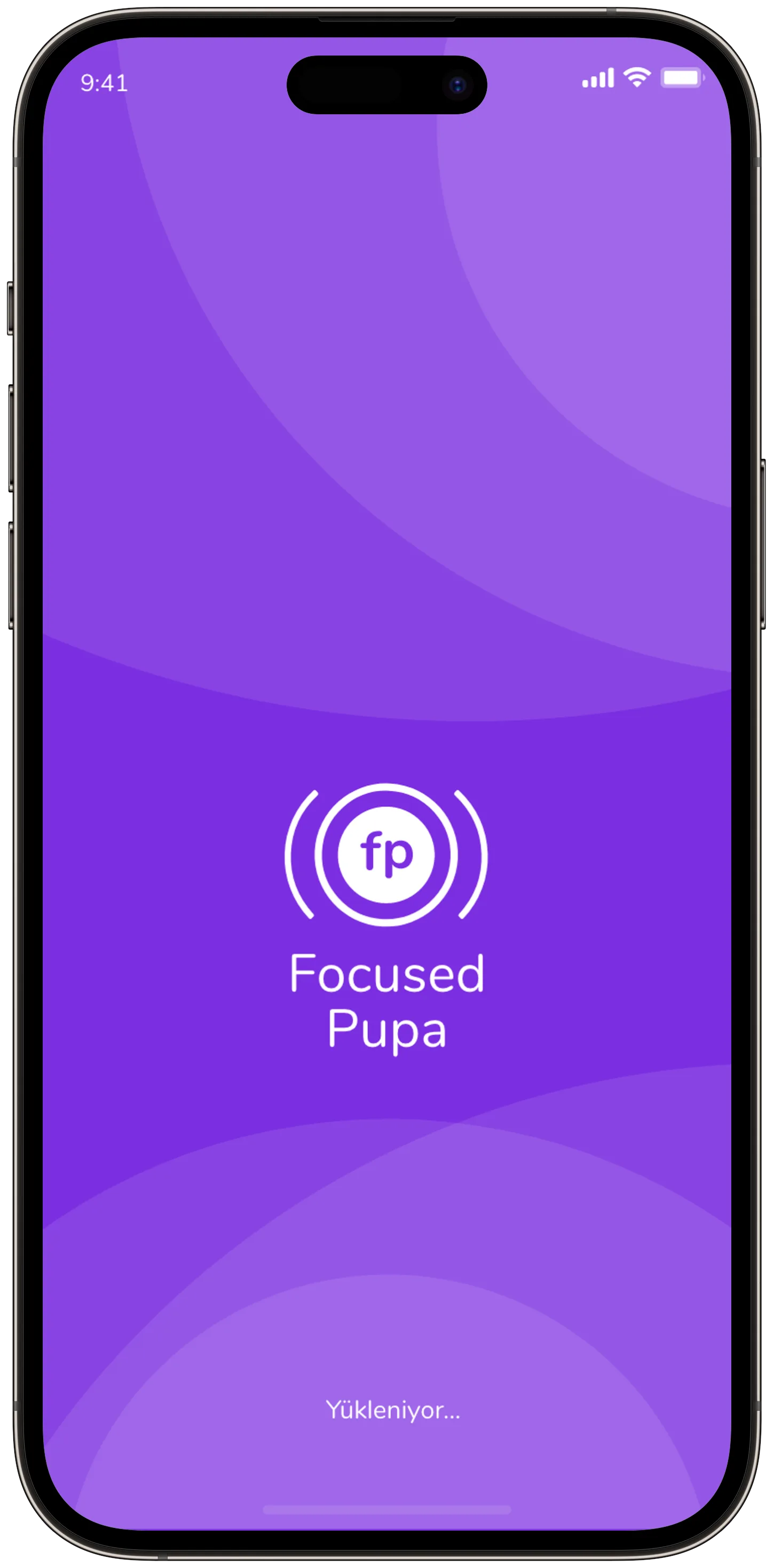 Focused Pupa — tasarım 1