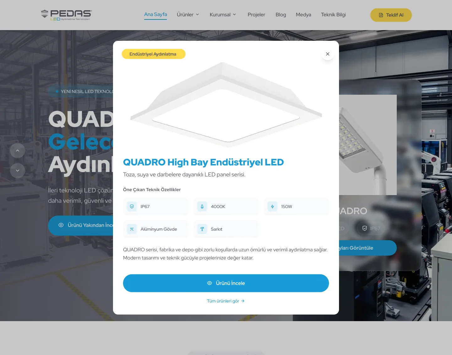 Pedaş LED — tasarım 22