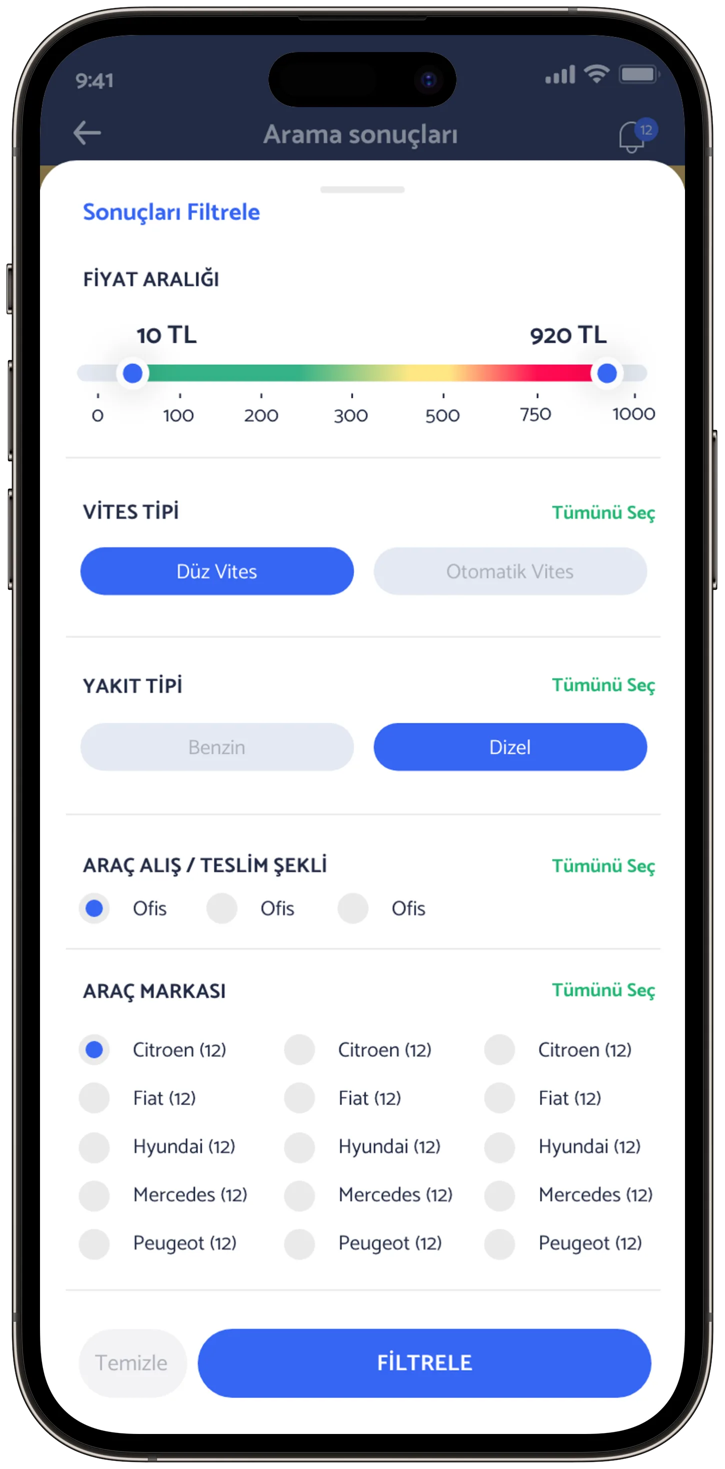 Ayes Rent A Car — tasarım 2