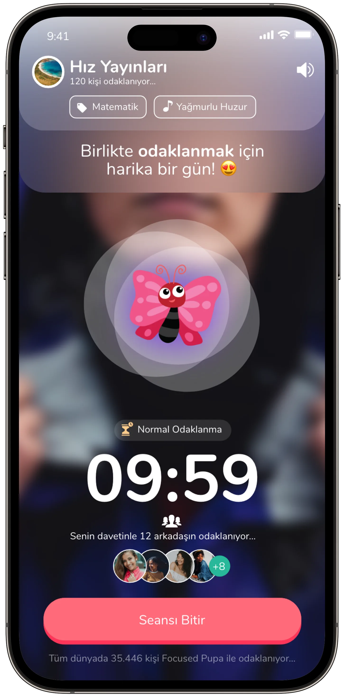 Focused Pupa — tasarım 6