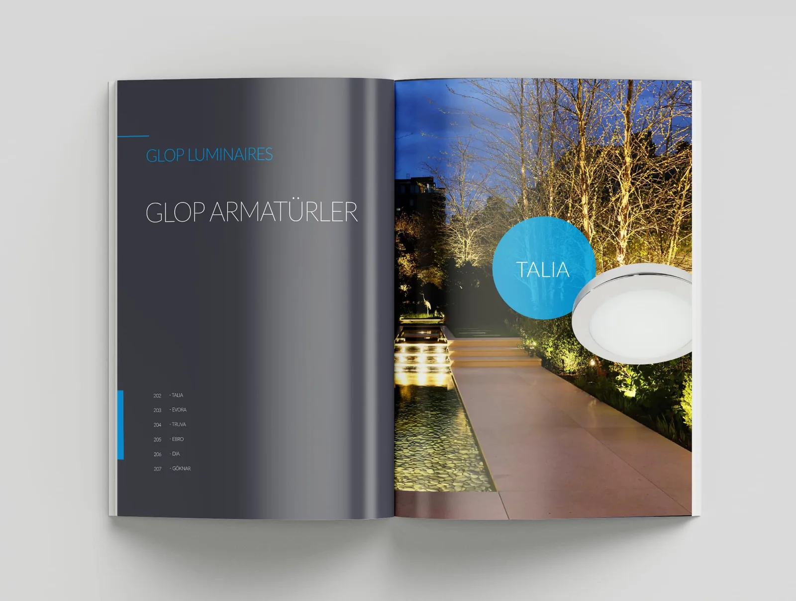 Pedaş Katalog — tasarım 9