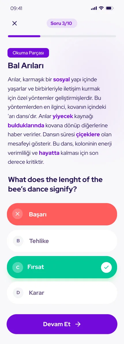 Lingoquest