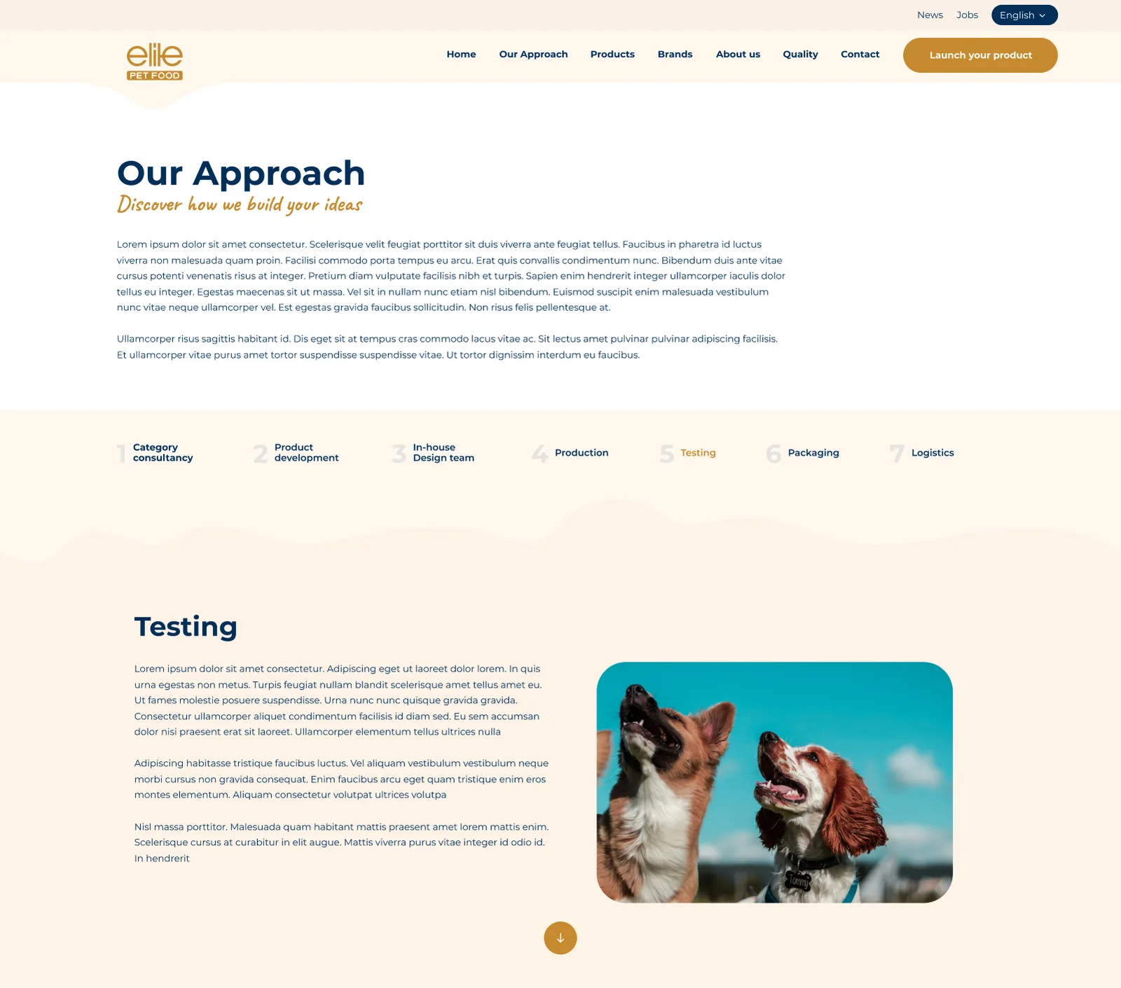 Pet Foods Corporate Website — tasarım 12