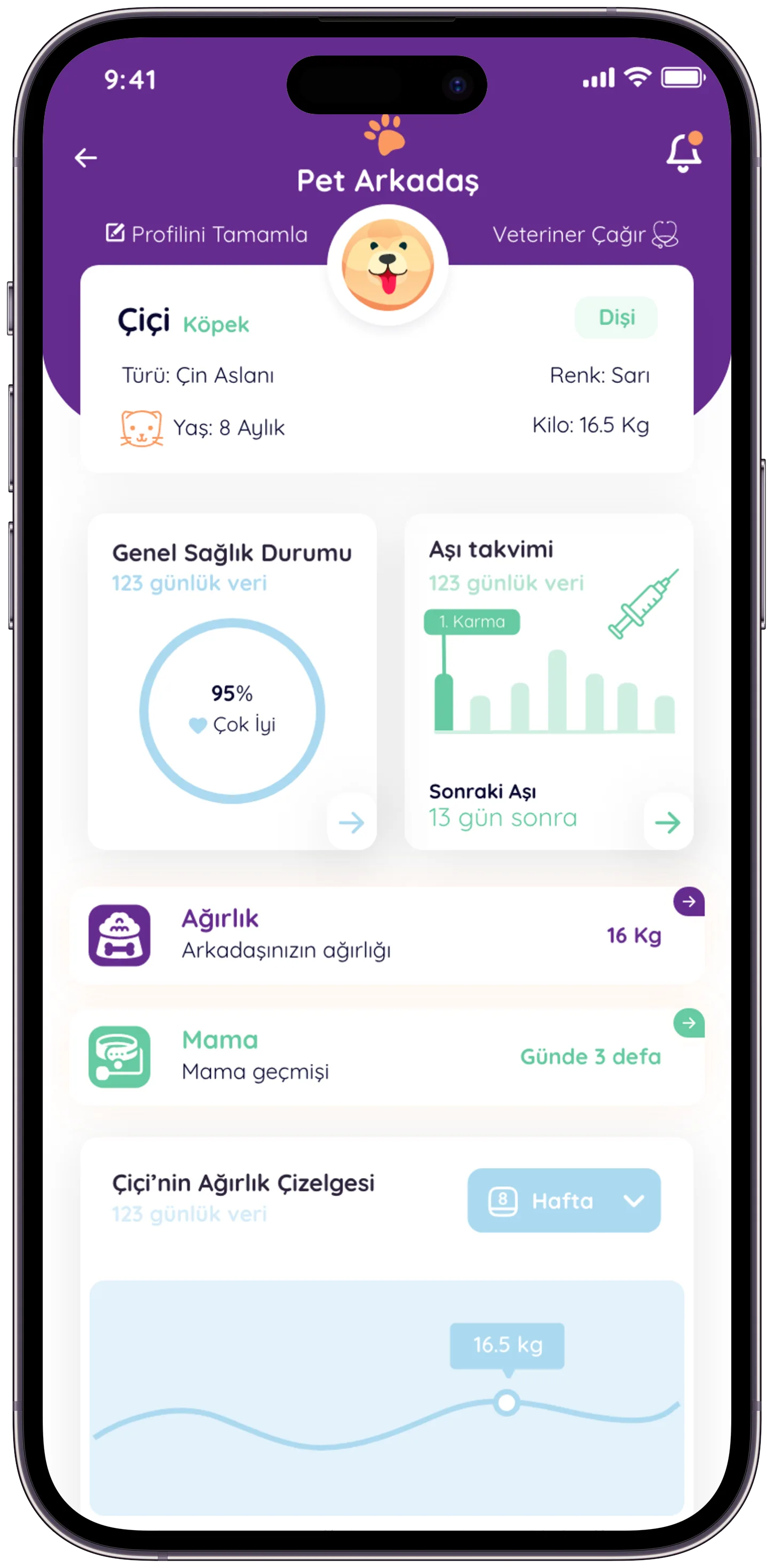 Pawla Pet App — tasarım 27