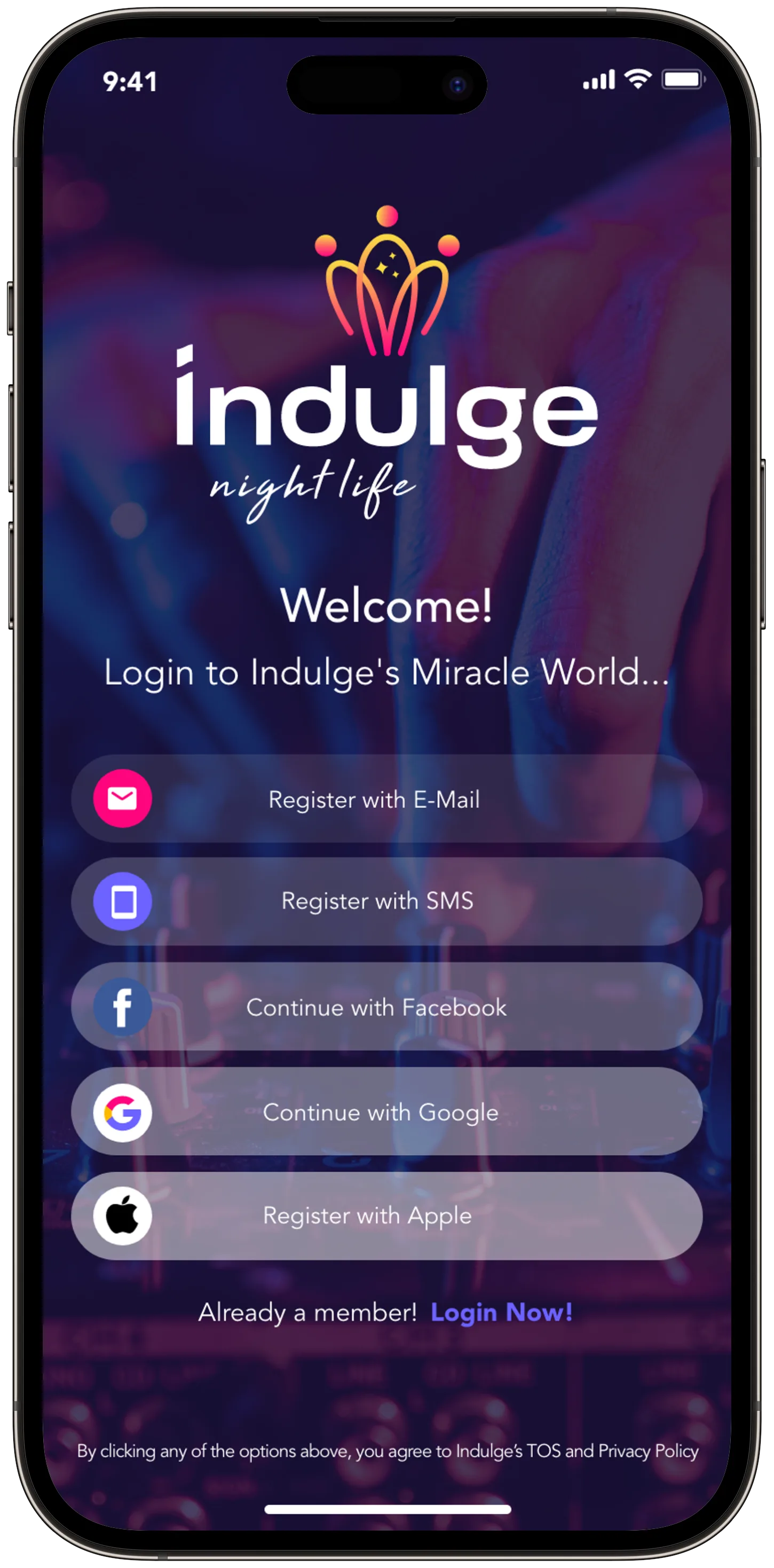 Indulge Social — tasarım 21