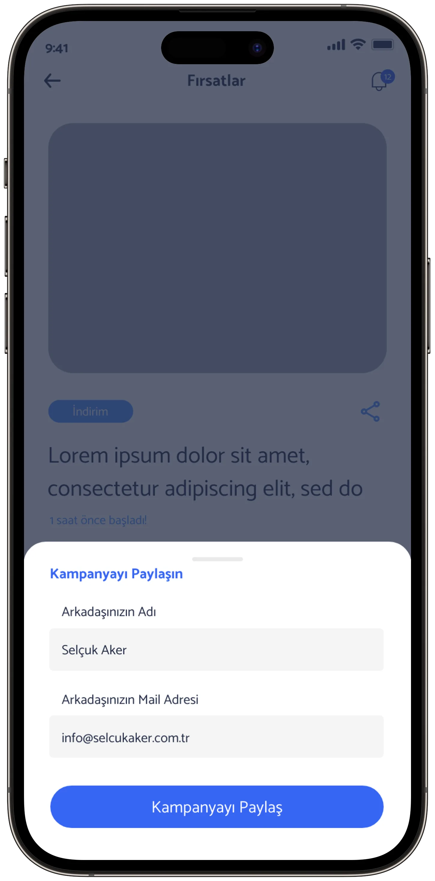 Ayes Rent A Car — tasarım 23