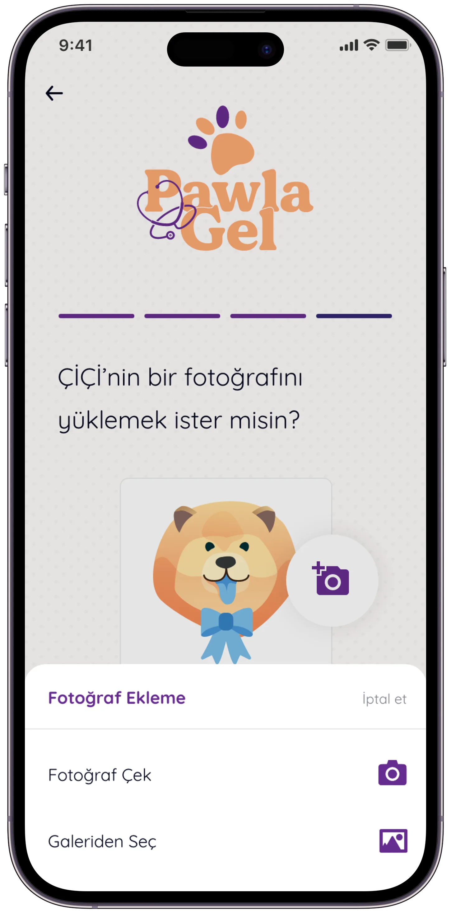 Pawla Pet App — tasarım 33