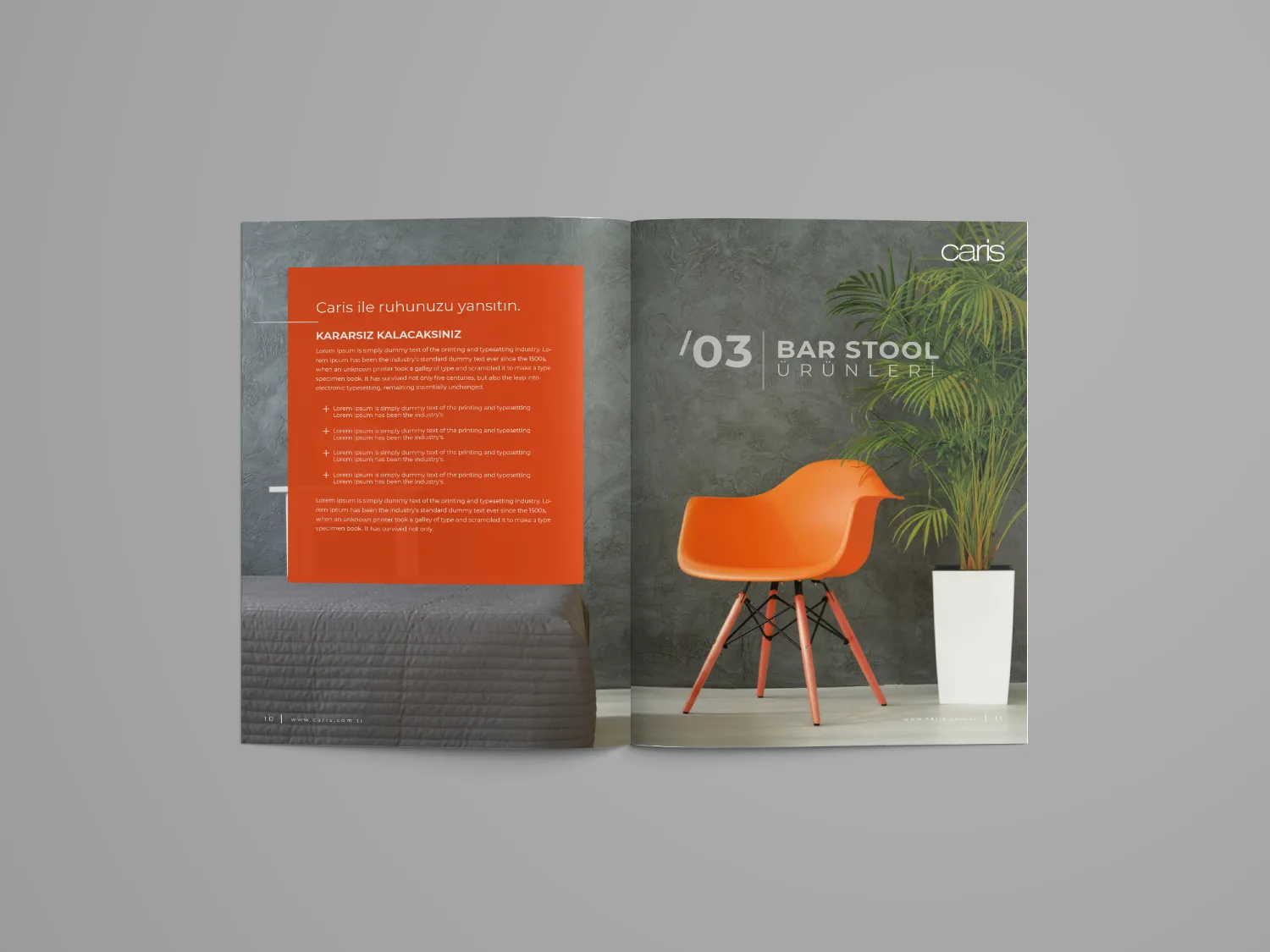 Caris Product Catalogue — Catalogue & Brochure, detail 2